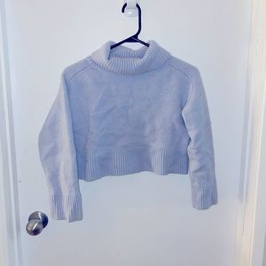 Blue Babatoj Aritzia Sweater